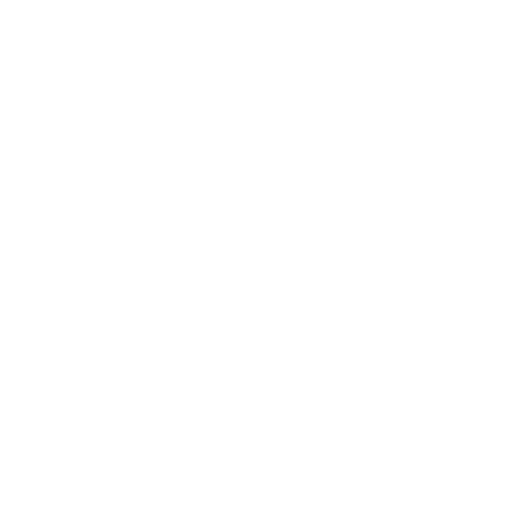 Logi Feigestellt SONS OF ALOHA