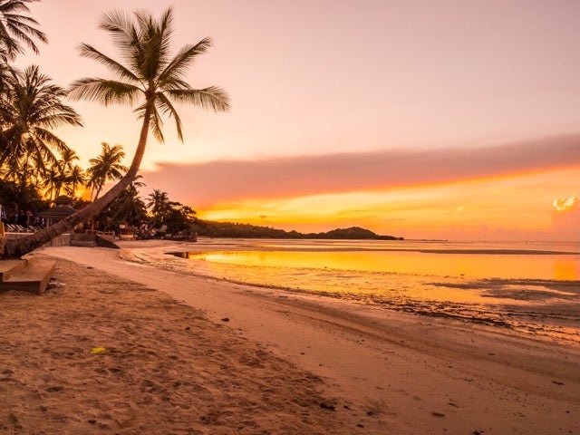 Ab jetzt stressfrei & richtig packen! - Sons of Aloha