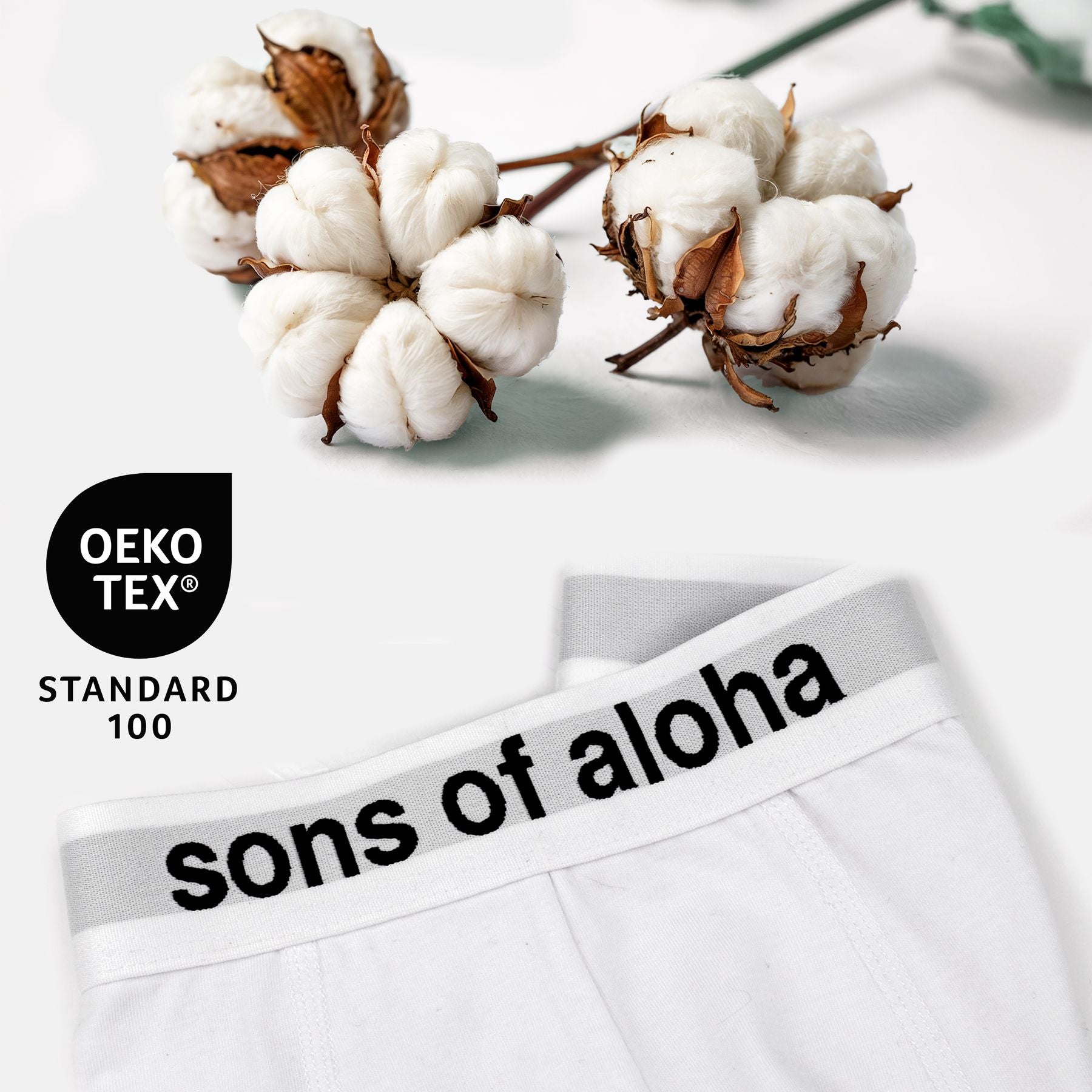 Men's Boxer Shorts (6-pack)